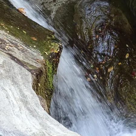 Homer's Villa Makrirrákhi