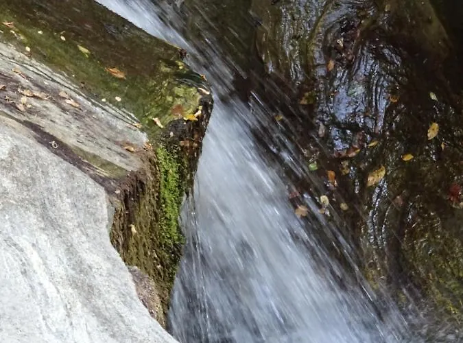 Homer's Vilă Makrirrákhi