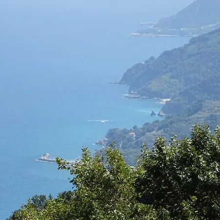 Homer's * Makrirrákhi