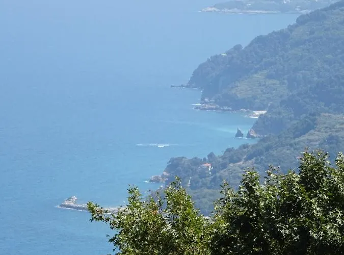 Homer's * Makrirrakhi